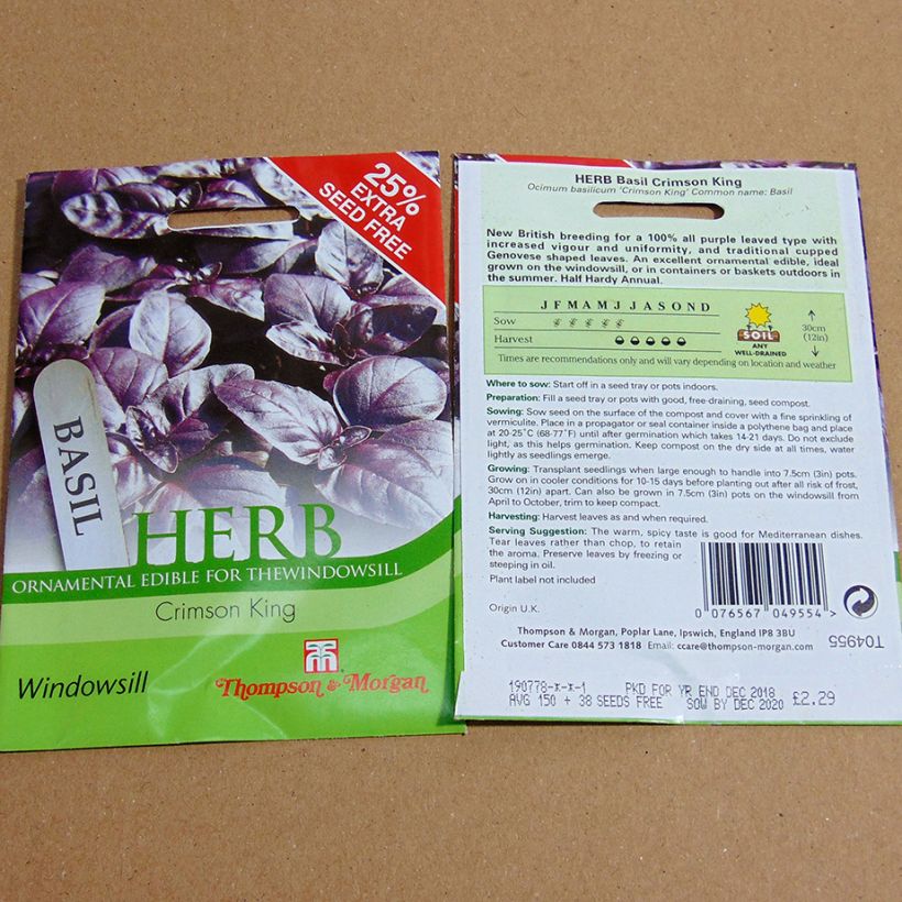 Beispiel eines Exemplars von Basilikum Crimson King die Tüte mit 150 Samen ungefähr wie geliefert