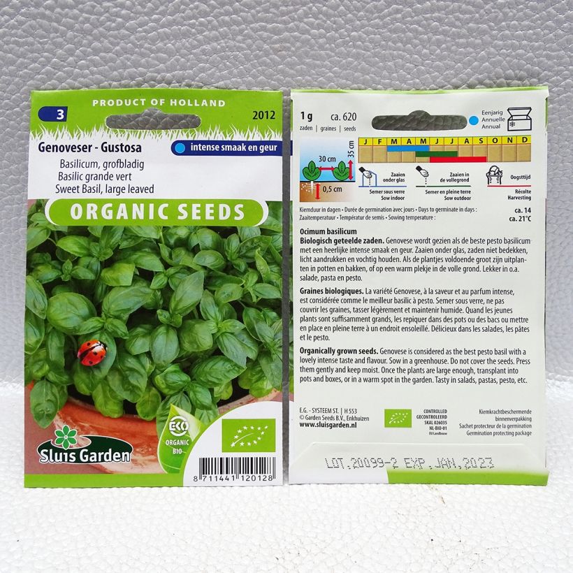 Beispiel eines Exemplars von Basilikum Gustosa Genoveser die Tüte mit 620 Samen ungefähr (1g) wie geliefert