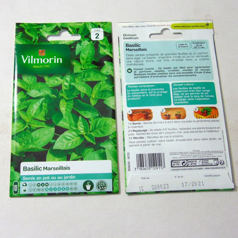Beispiel eines Exemplars von Basilikum Marseillais - Vilmorin - Ocimum basilicum die Tüte mit 800 Samen ungefähr (1g) wie geliefert