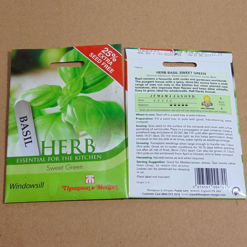 Beispiel eines Exemplars von Basilikum Sweet Green - Ocimum basilicum die Tüte mit 400 Samen ungefähr wie geliefert