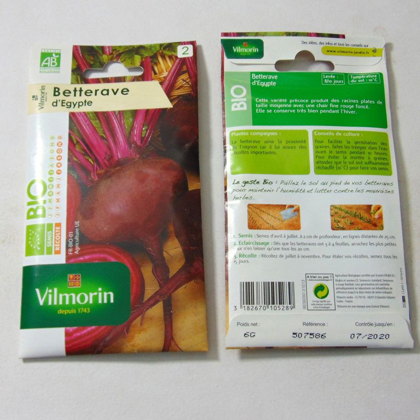 Example of Rote Bete Egypte Bio- Vilmorin die Tüte mit 300 Samen ungefähr (6g) as you get