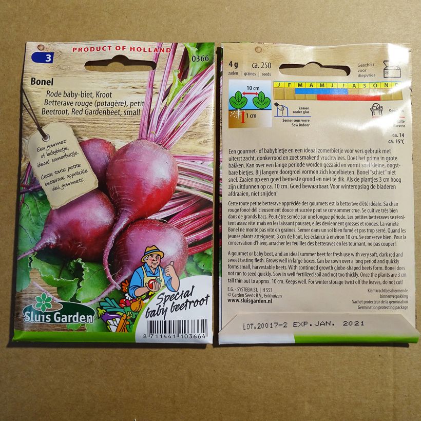 Beispiel eines Exemplars von Rote Bete Bonel die Tüte mit 250 Samen ungefähr (4g) wie geliefert
