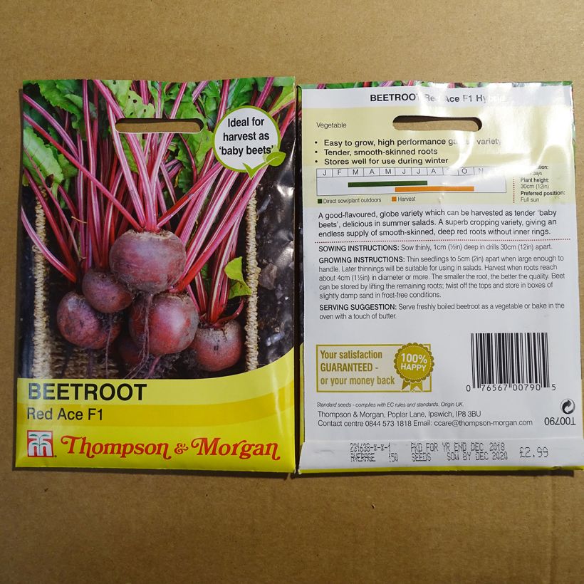 Beispiel eines Exemplars von Rote Bete Red Ace F1 die Tüte mit 150 Samen ungefähr wie geliefert