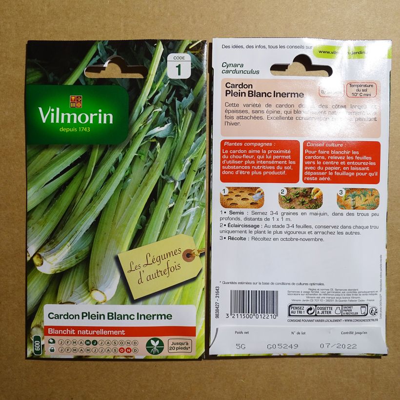 Example of Wilde Artischocke - Cynara cardunculus die Tüte mit 125 Samen ungefähr (5g) as you get