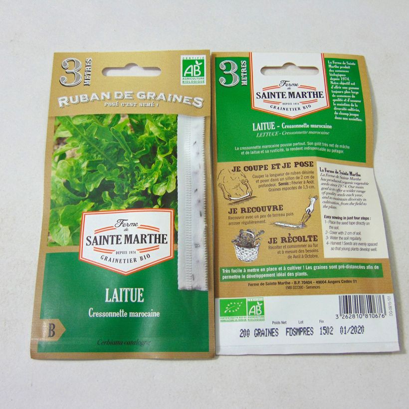 Beispiel eines Exemplars von Schnitt-Salat Radichetta (Saatband) Bio - Ferme de Sainte Marthe Samen in Bändern wie geliefert