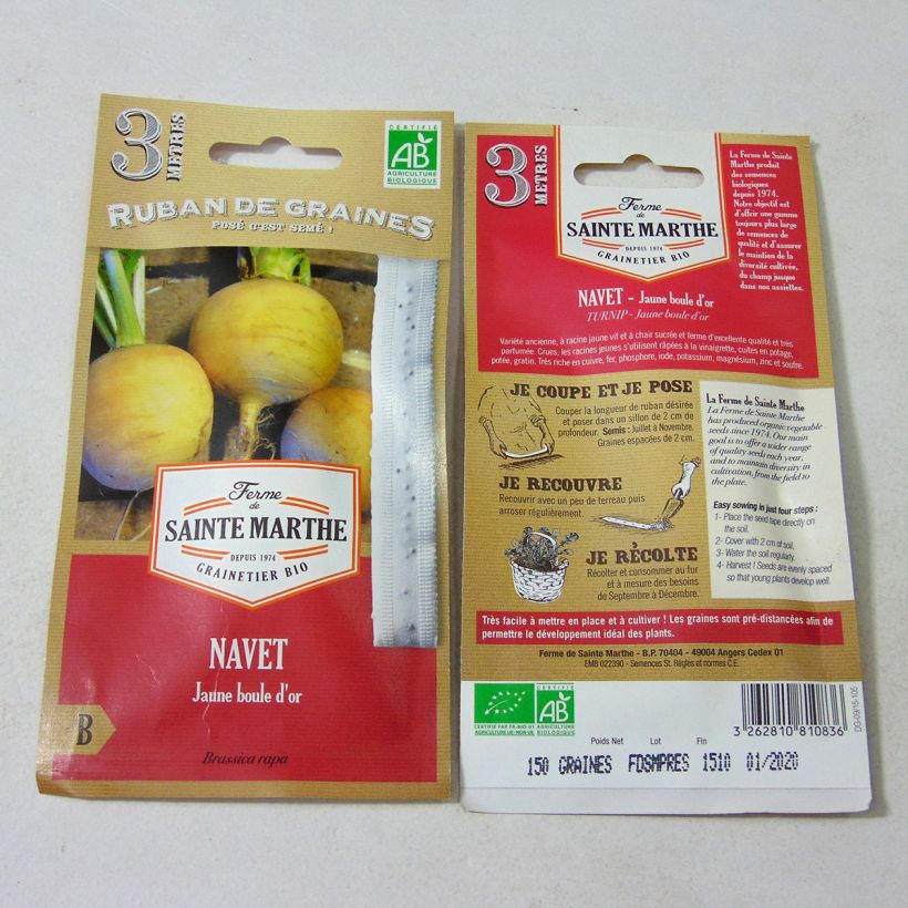 Example of Boule d'Or Bio - Ferme de Sainte Marthe (Saatband) Samen in Bändern as you get