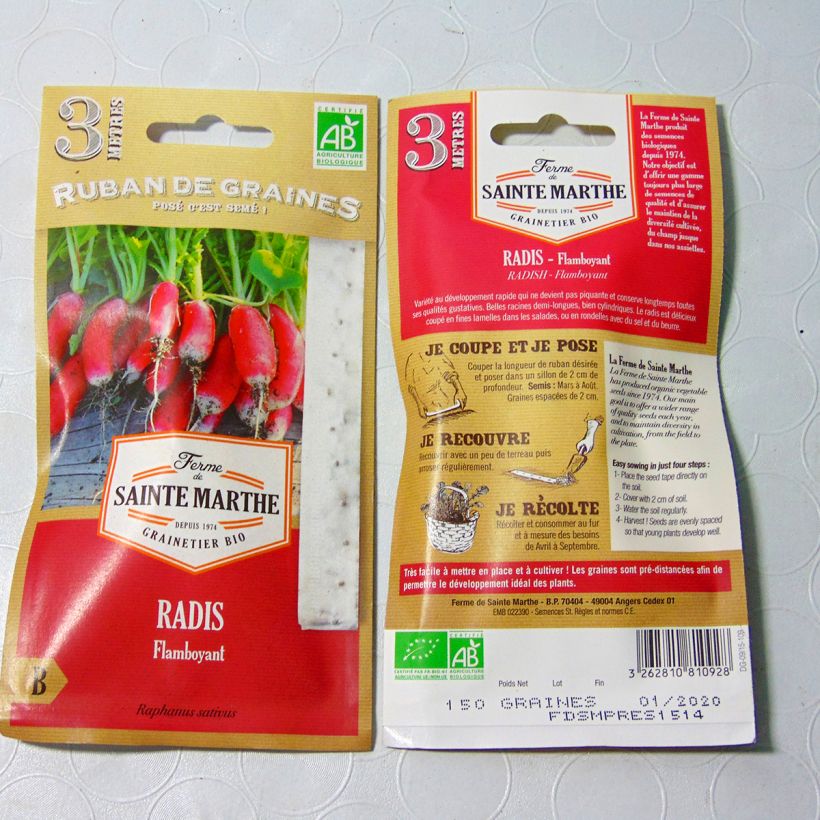 Example of Rettich Flamboyant (Saatband) die Tüte mit Samen von 1 Gramm as you get