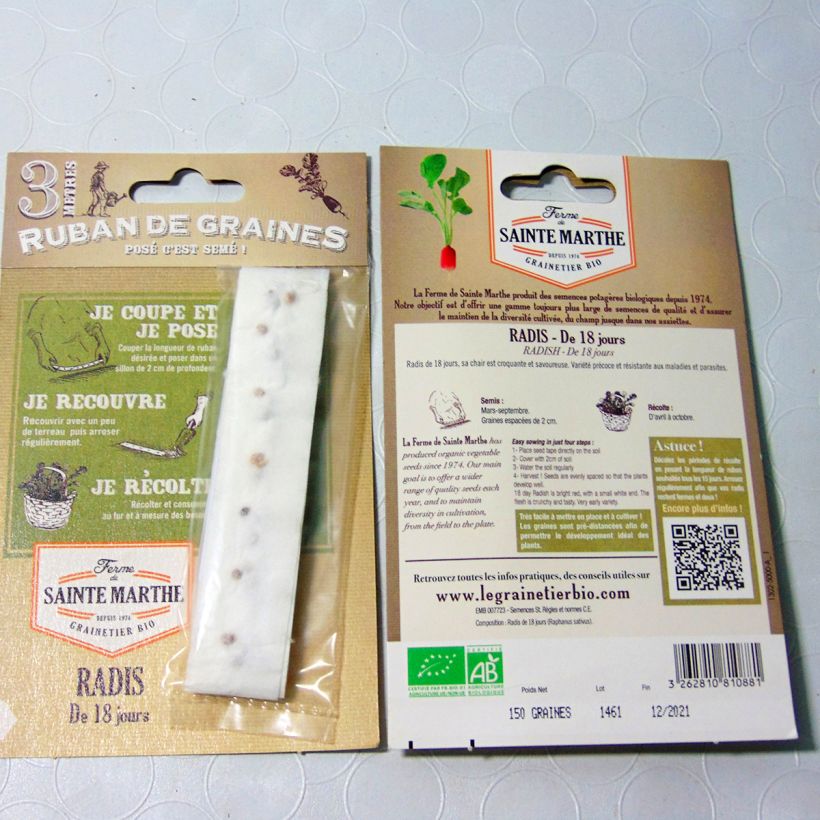 Beispiel eines Exemplars von Radieschen 18 Tage (Saatband) die Tüte mit Samen von 1 Gramm wie geliefert