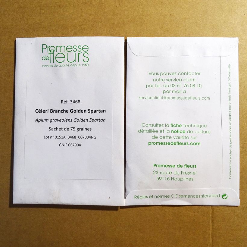 Beispiel eines Exemplars von Echter Sellerie Golden Spartan die Tüte mit 75 Samen ungefähr wie geliefert