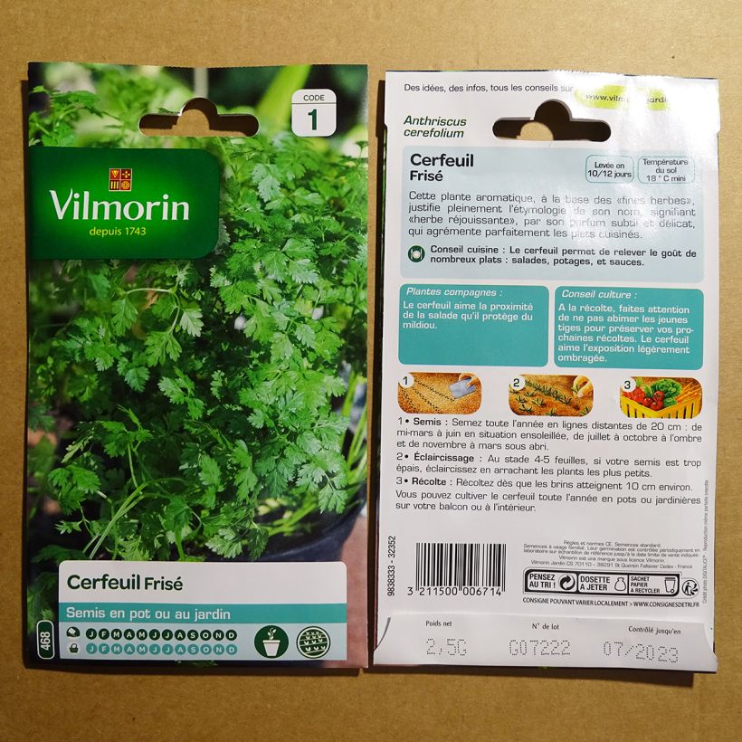 Beispiel eines Exemplars von Krausiger Kerbel - Vilmorin - Anthriscus cerefolium die Tüte mit 30 Samen ungefähr (2g) wie geliefert