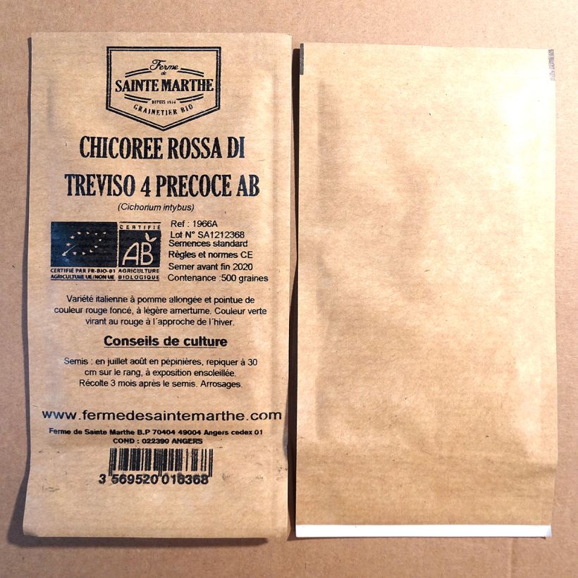 Beispiel eines Exemplars von Zichoriensalat Rossa di Treviso 4 Bio - Ferme de Sainte Marthe die Tüte mit 500 Samen ungefähr wie geliefert