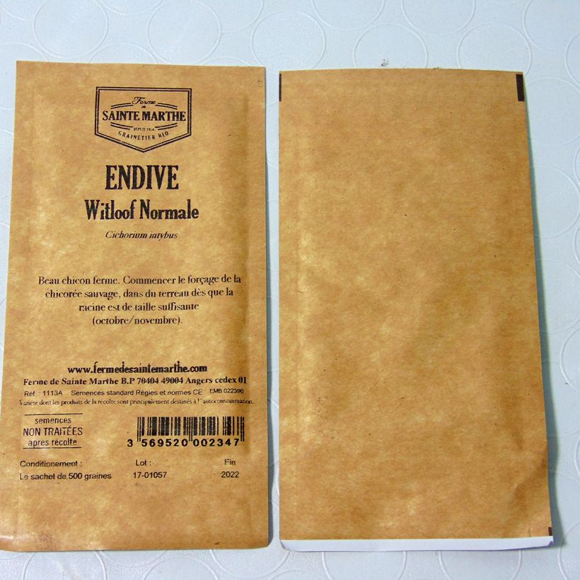 Beispiel eines Exemplars von Endivie Witloof Alba Bio - Ferme de Sainte Marthe die Tüte mit 500 Samen ungefähr (1g) wie geliefert