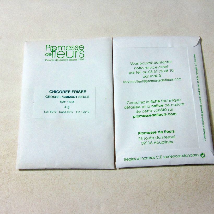 Beispiel eines Exemplars von Endivie Grosse Pommant Seule die Tüte mit 2500 Samen ungefähr (4g) wie geliefert