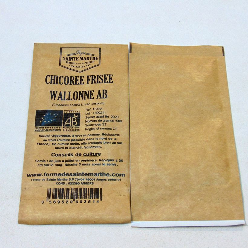 Beispiel eines Exemplars von Endivie Wallonne Bio - Ferme de Sainte Marthe die Tüte mit 500 Samen ungefähr wie geliefert