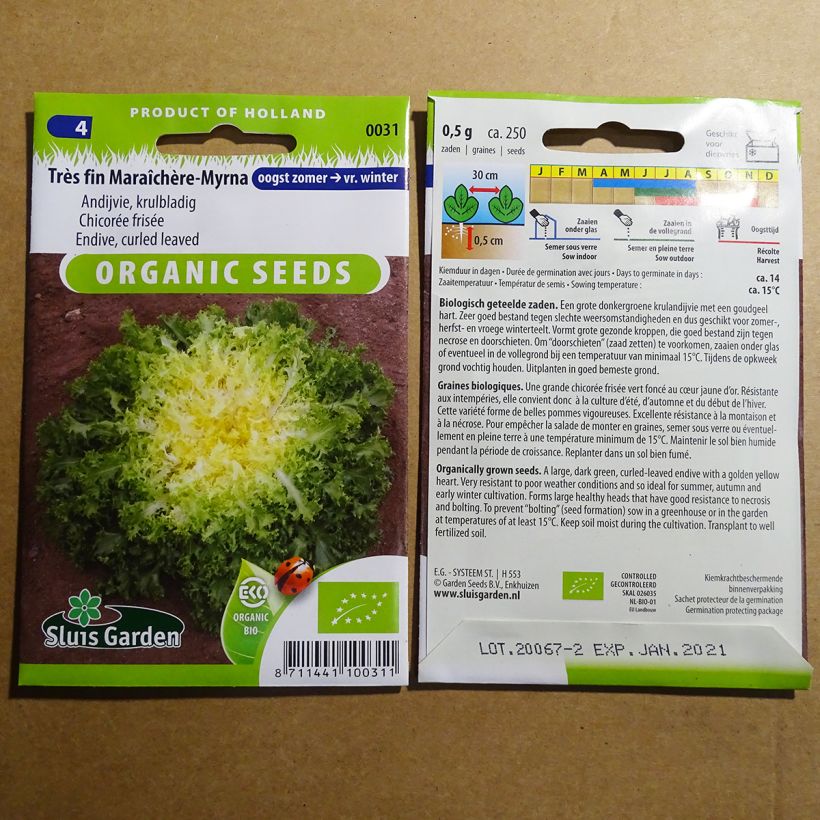 Example of Endivie Myrna Bio die Tüte mit 500 Samen ungefähr (0.8g) as you get