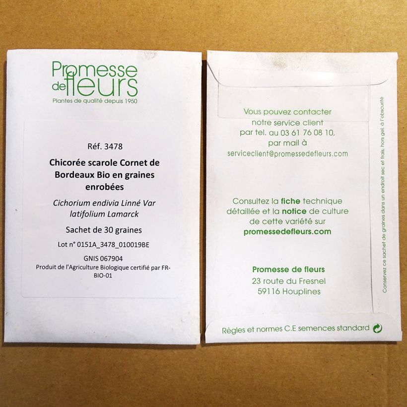 Example of Endivie Escariol Cornet de Bordeaux Bio die Tüte mit 30 Samen ungefähr - Samenbeschichtung as you get