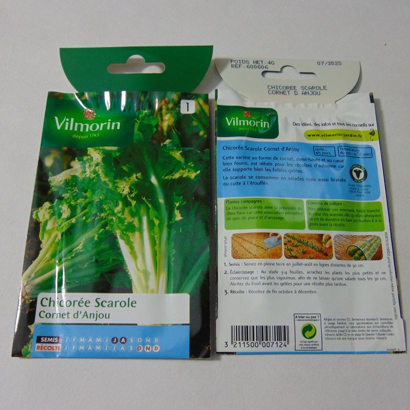 Beispiel eines Exemplars von Endivie Escariol Cornet d'Anjou - Vilmorin die Tüte mit 2400 Samen ungefähr (4g) wie geliefert