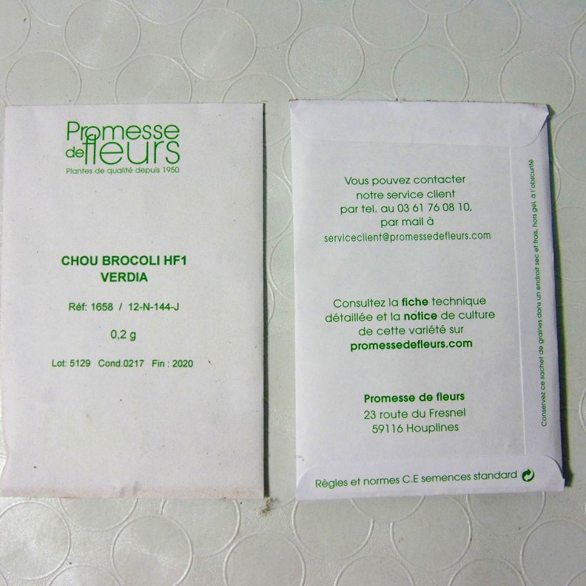 Beispiel eines Exemplars von Brokkoli Verdia F1 die Tüte mit 100 Samen ungefähr (0.2g) wie geliefert