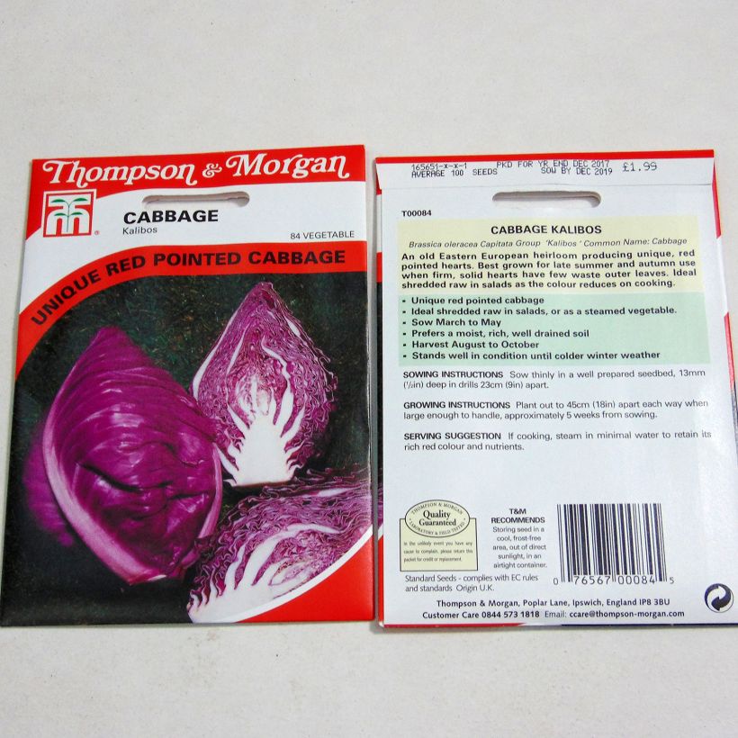 Beispiel eines Exemplars von Kopfkohl Kalibos (Filderkraut) F1 die Tüte mit 100 Samen ungefähr wie geliefert