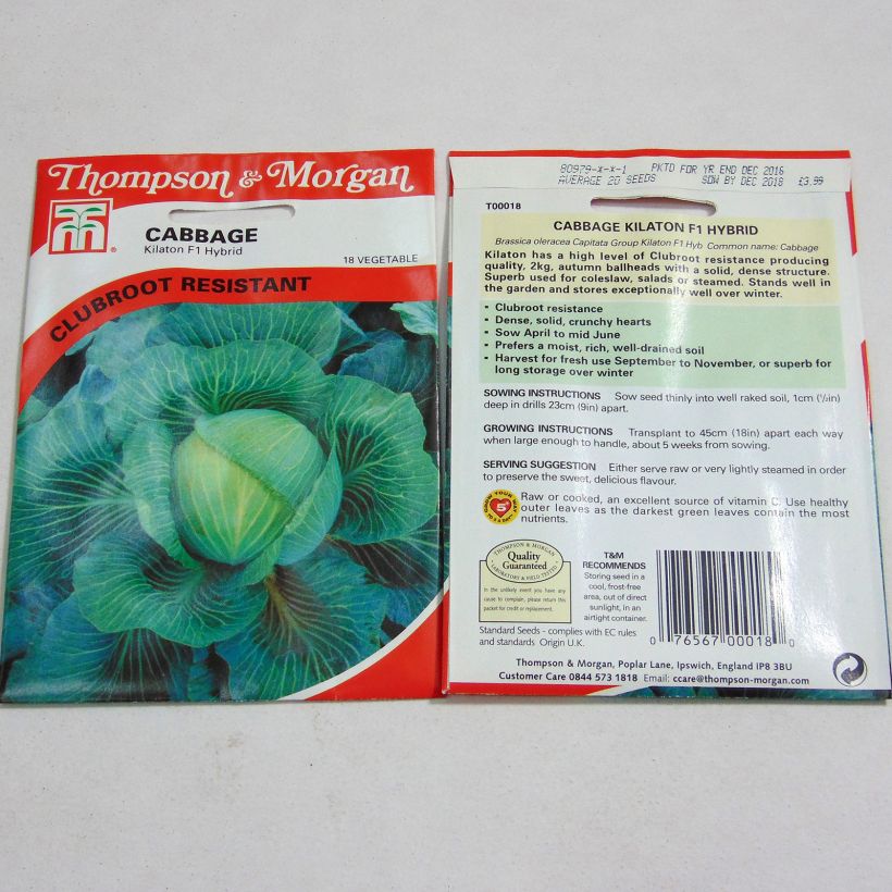 Beispiel eines Exemplars von Kopfkohl Kilaton F1 die Tüte mit 20 Samen ungefähr wie geliefert