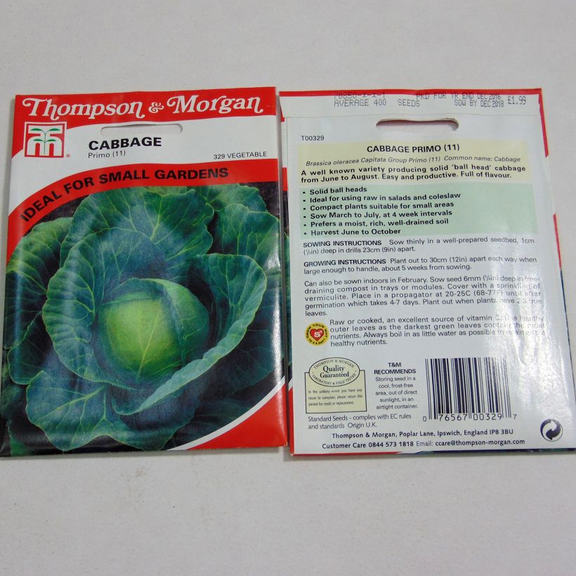 Beispiel eines Exemplars von Weißkohl Primo die Tüte mit 400 Samen ungefähr wie geliefert