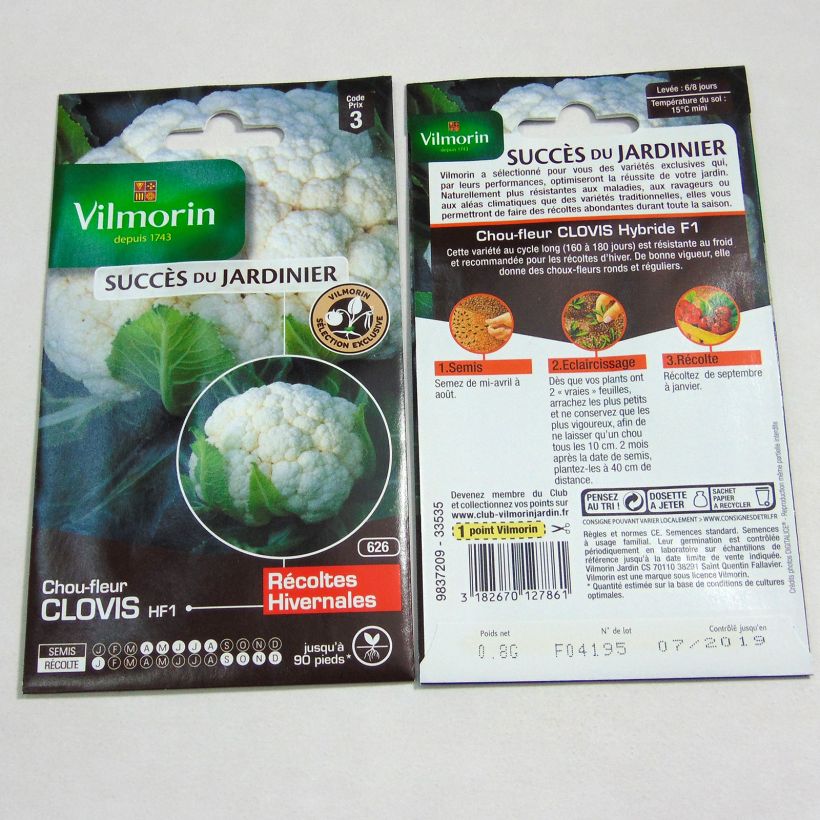 Beispiel eines Exemplars von Blumenkohl Clovis F1 - Vilmorin die Tüte mit 320 Samen ungefähr (0.8g) wie geliefert