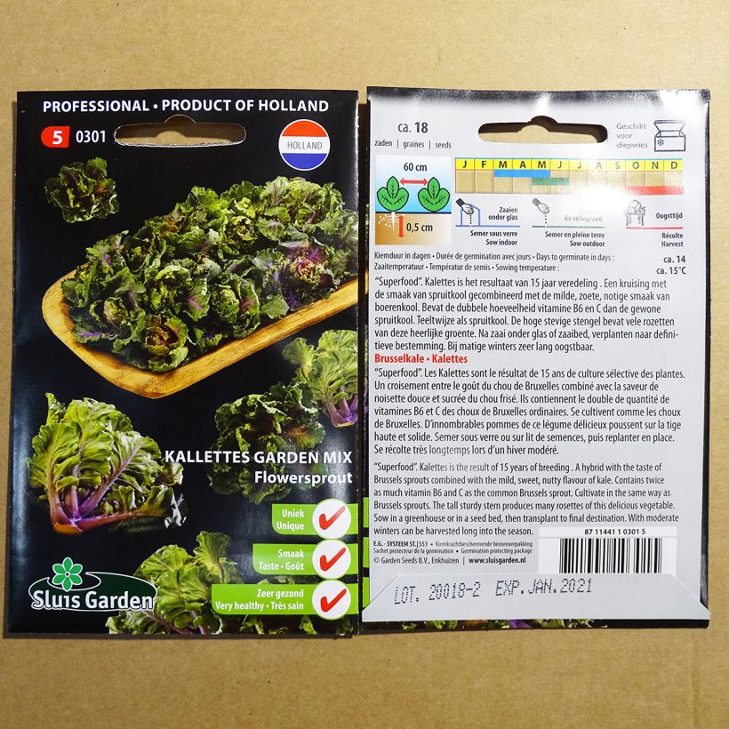 Beispiel eines Exemplars von Rosenkohl Kalettes Flower Sprout - Kalettes Garden Mix die Tüte mit 18 Samen ungefähr wie geliefert
