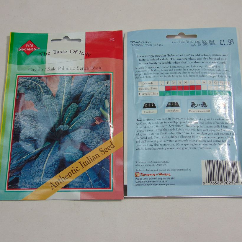 Beispiel eines Exemplars von Grünkohl Il Cavolo Palmizio die Tüte mit 2500 Samen ungefähr wie geliefert