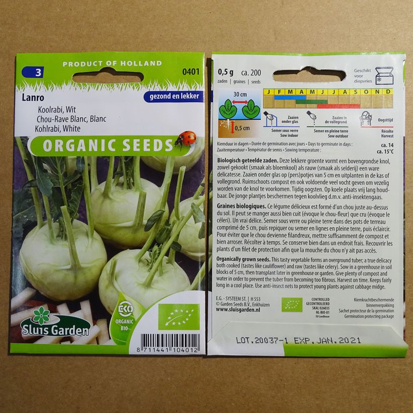 Beispiel eines Exemplars von Kohlrabi Lanro Blanc BIO die Tüte mit 200 Samen ungefähr wie geliefert