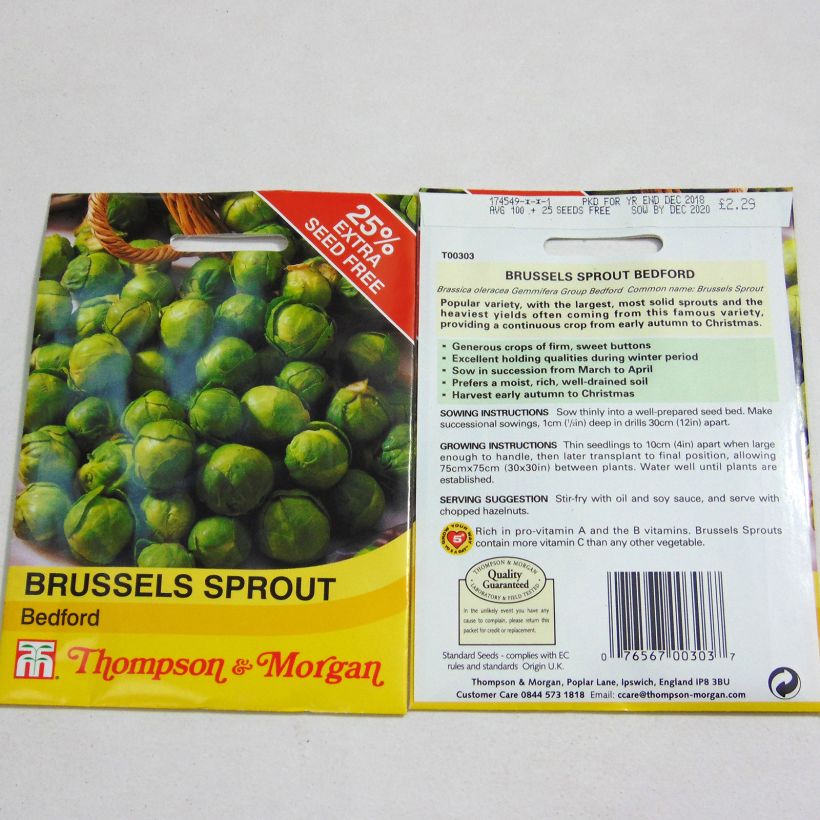 Beispiel eines Exemplars von Rosenkohl Bedford die Tüte mit 100 Samen ungefähr wie geliefert