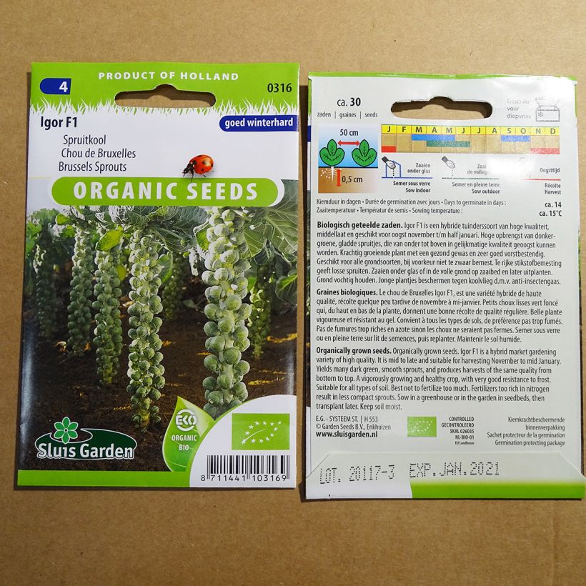 Beispiel eines Exemplars von Rosenkohl Igor F1 Bio die Tüte mit 30 Samen ungefähr wie geliefert