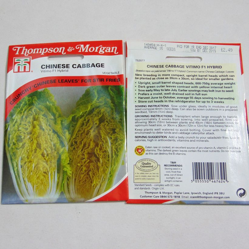 Beispiel eines Exemplars von China-Kohl Vitimo F1 die Tüte mit 35 Samen ungefähr wie geliefert