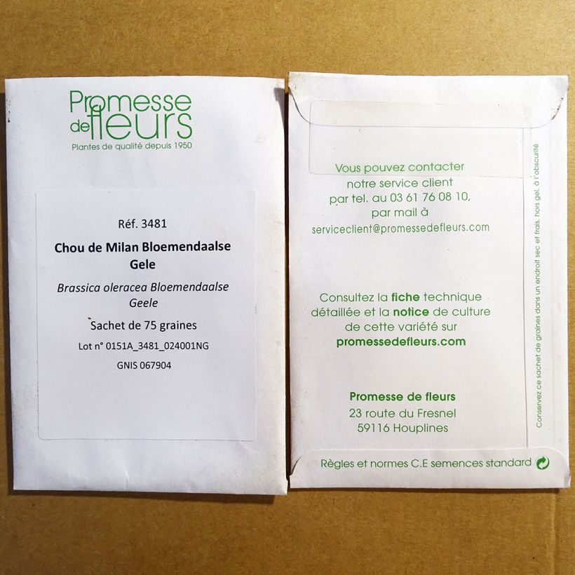 Beispiel eines Exemplars von Wirsing Bloemendaalse Gele die Tüte mit 75 Samen ungefähr wie geliefert