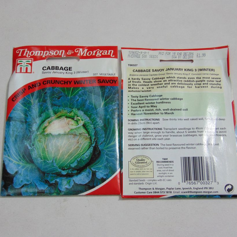 Beispiel eines Exemplars von Wirsing January King 3 die Tüte mit 500 Samen ungefähr wie geliefert