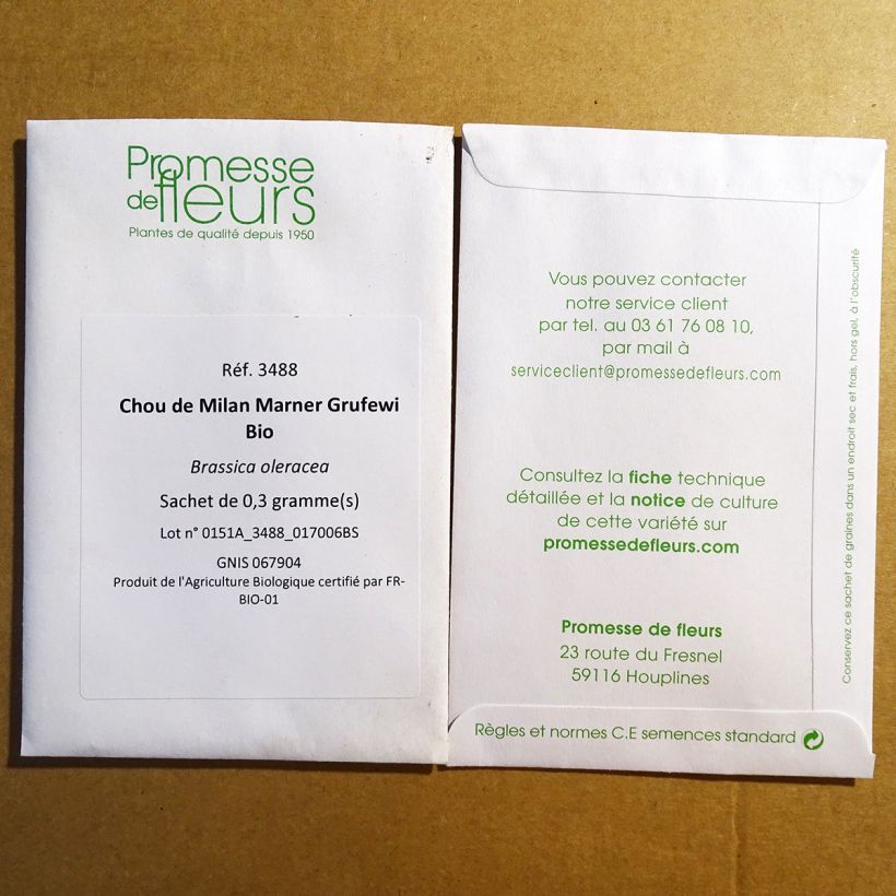 Beispiel eines Exemplars von Wirsing Marner Grufewi Bio die Tüte mit 50 Samen ungefähr wie geliefert