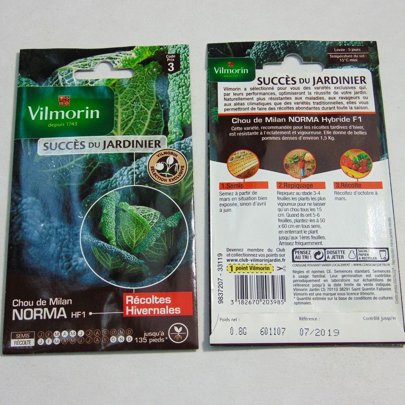 Beispiel eines Exemplars von Wirsing Norma F1 - Vilmorin Samen wie geliefert