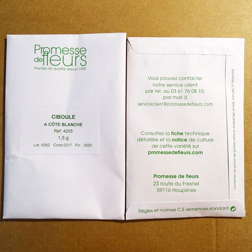 Beispiel eines Exemplars von Winter-Zwiebel Weibe - Allium fistulosum die Tüte mit 720 Samen ungefähr (1.5g) wie geliefert