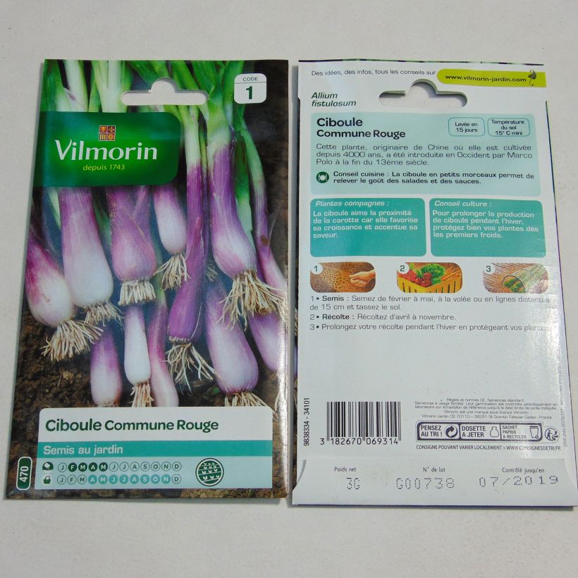 Beispiel eines Exemplars von Winter-Zwiebel Rote - Vilmorin die Tüte mit 1400 Samen ungefähr (3g) wie geliefert