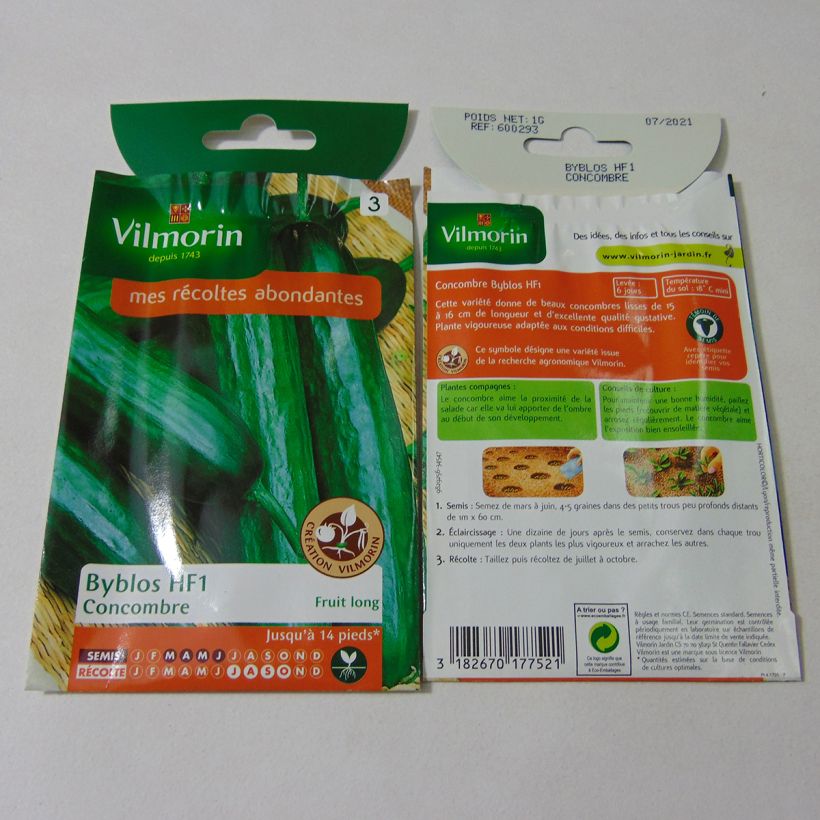 Beispiel eines Exemplars von Snack-Gurke Byblos - Vilmorin die Tüte mit 35 Samen ungefähr (1g) wie geliefert