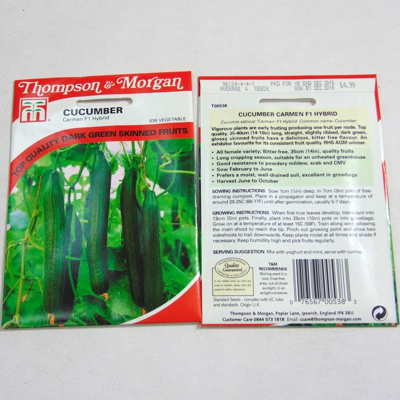 Beispiel eines Exemplars von Salat-Gurke Carmen die Tüte mit 4 Samen ungefähr wie geliefert