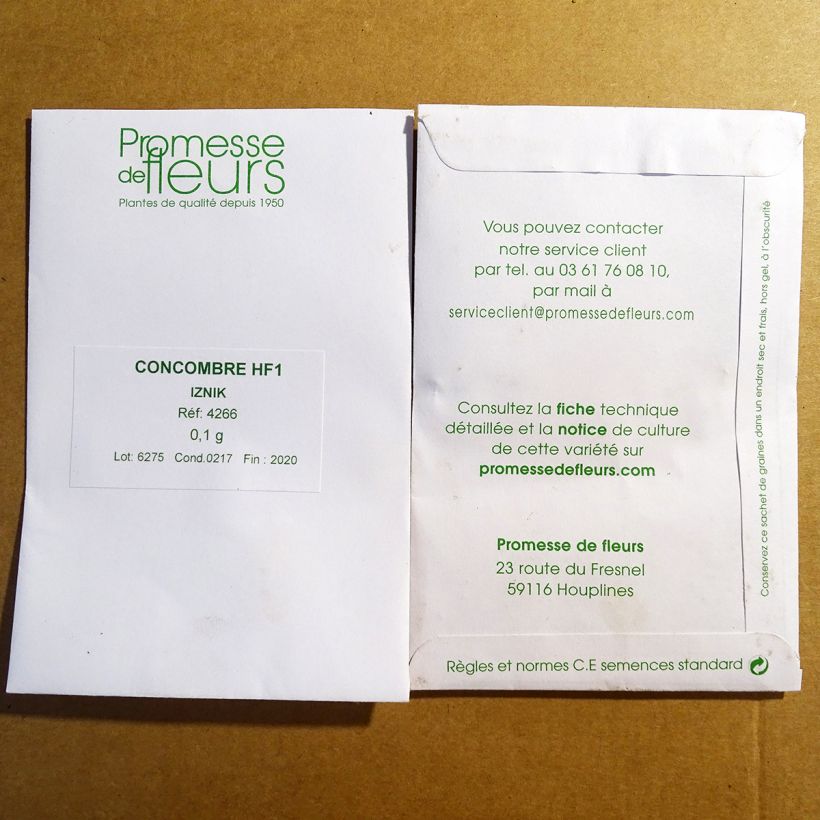 Beispiel eines Exemplars von Snack-Gurke Iznik F1 die Tüte mit Samen von 0,1 Gramm wie geliefert