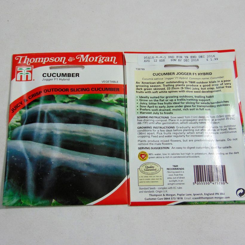 Beispiel eines Exemplars von Salat-Gurke Jogger F1 die Tüte mit 12 Samen ungefähr wie geliefert