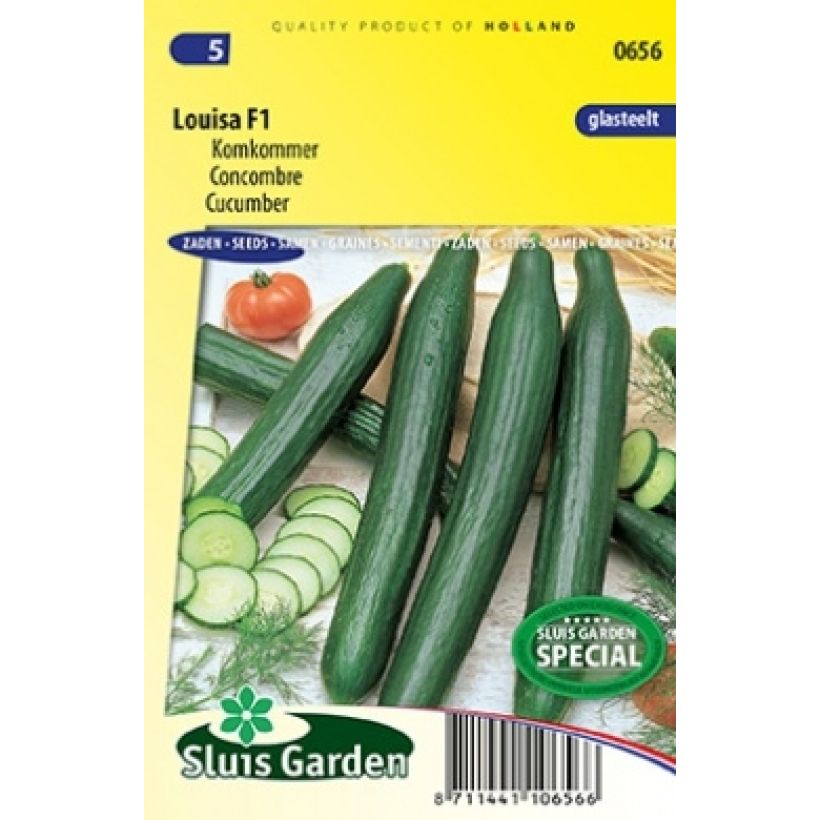 Beispiel eines Exemplars von Salat-Gurke Louisa F1 die Tüte mit 7 Samen ungefähr wie geliefert