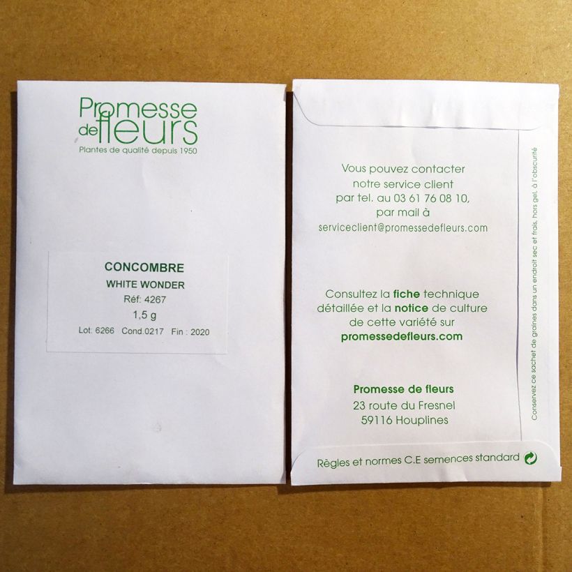 Beispiel eines Exemplars von Salat-Gurke White Wonder die Tüte mit 50 Samen ungefähr (1,5g) wie geliefert