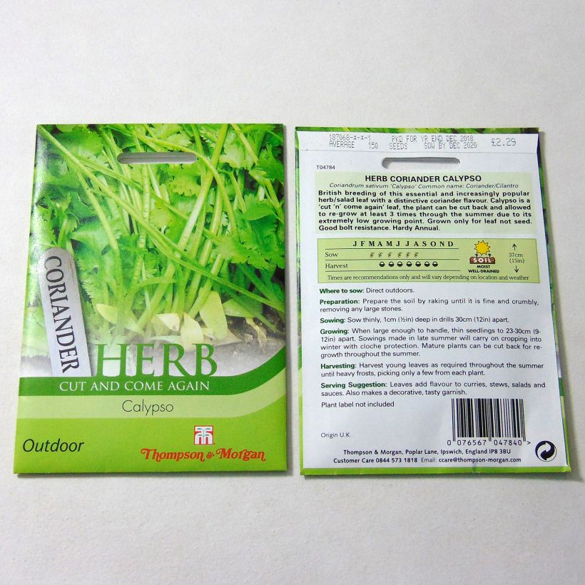 Beispiel eines Exemplars von Koriander Calypso die Tüte mit 150 Samen ungefähr wie geliefert