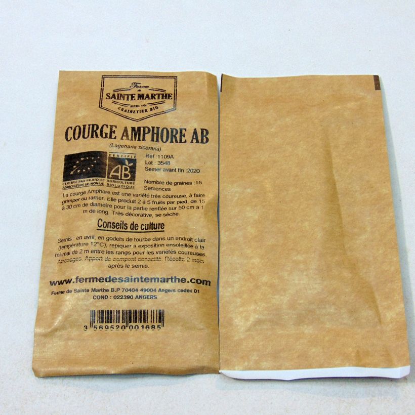 Beispiel eines Exemplars von Flaschenkürbis Amphore die Tüte mit 15 Samen ungefähr (3g) wie geliefert