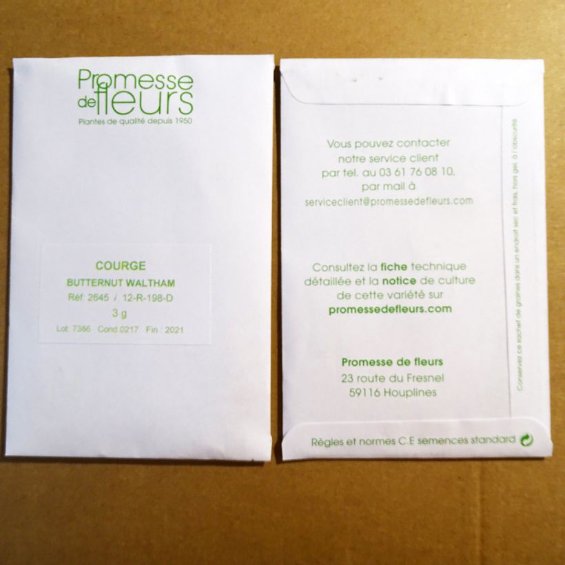 Beispiel eines Exemplars von Moschus-Kürbis Waltham Butternut die Tüte mit 25 Samen ungefähr (3g) wie geliefert