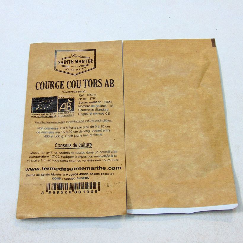 Beispiel eines Exemplars von Garten-Kürbis Bio - Ferme de Sainte Marthe die Tüte mit 15 Samen ungefähr (1g) wie geliefert