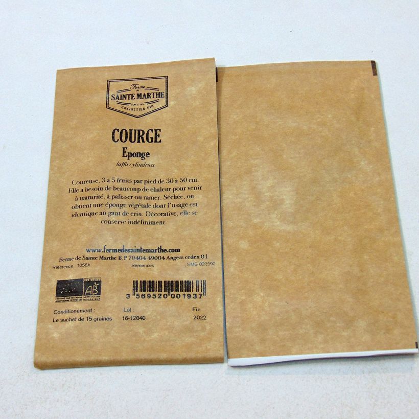 Beispiel eines Exemplars von Luffagurke Bio - Ferme de Sainte Marthe - Luffa cylindrica die Tüte mit 15 Samen ungefähr wie geliefert