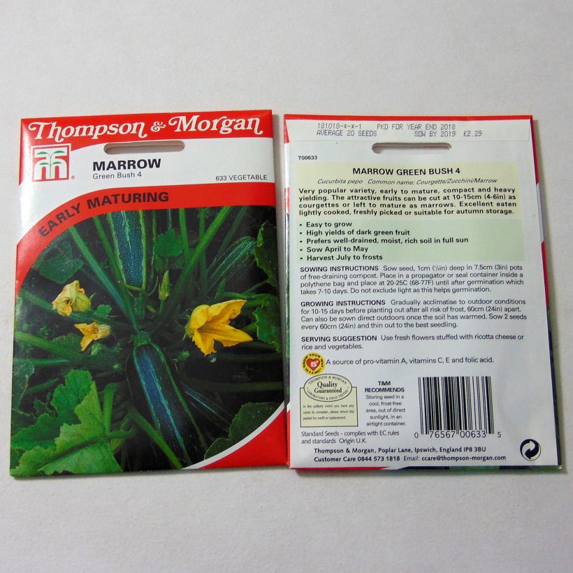Beispiel eines Exemplars von Garten-Kürbis Green Bush 4 die Tüte mit 25 Samen ungefähr wie geliefert